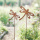 Gartenstecker Libelle 2er Set