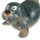 Wasserspeier Seehund