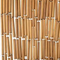 Bambusvorhang hell