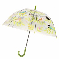 Regenschirm transparent