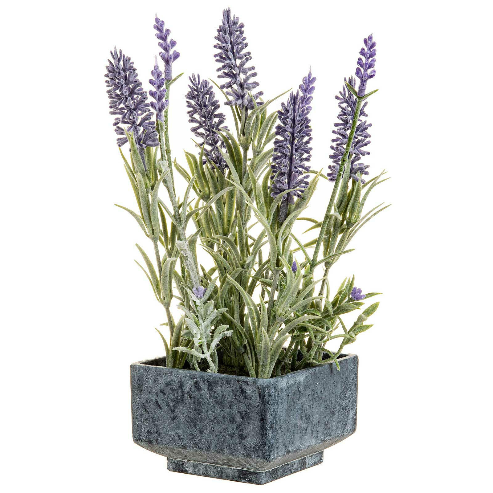 - SIDCO Lavendelpflanze online € kaufen sidco.de bei 17,98 Künstliche einfach,