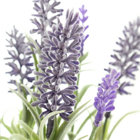 Künstliche Lavendelpflanze kaufen € 17,98 SIDCO bei - sidco.de einfach, online