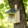 Vogelhaus Kleinvögel